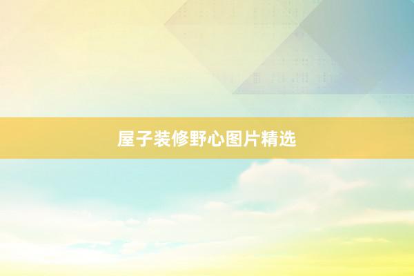 屋子装修野心图片精选